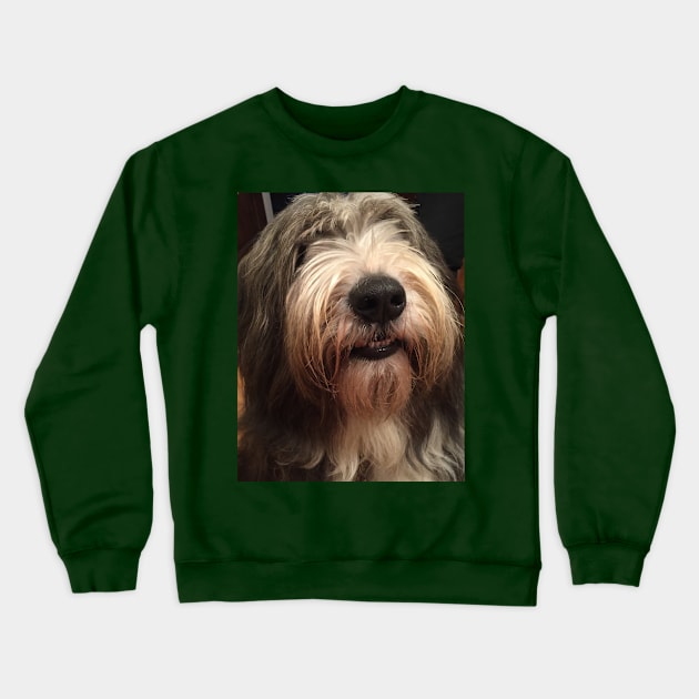 I Love Bearded Collies - Beardie Love Crewneck Sweatshirt by Bucklandcrafts